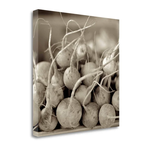 Tangletown Fine Art Marketplace - 26 by Alan Blaustein