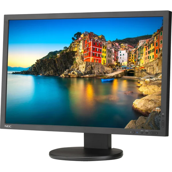 NEC Display P243W-BK LCD Monitor