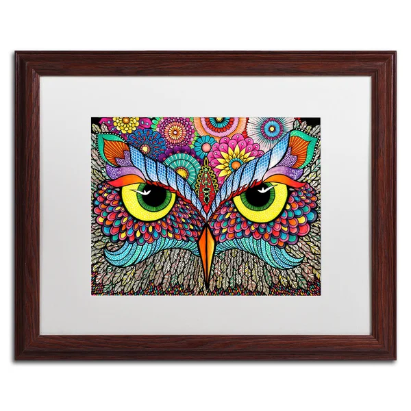 Trademark Fine Art Owl Face by Hello Angel, White Matte, Wood Frame 16x20-Inch, Assorted