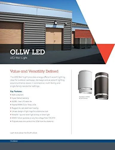 Lithonia Lighting Dark Bronze LED Outdoor Cylinder Up/downlight