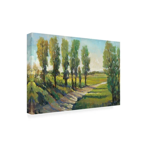 Trademark Fine Art 'Lush Landscape I' Canvas Art by Tim OToole - Size: 30 x 47