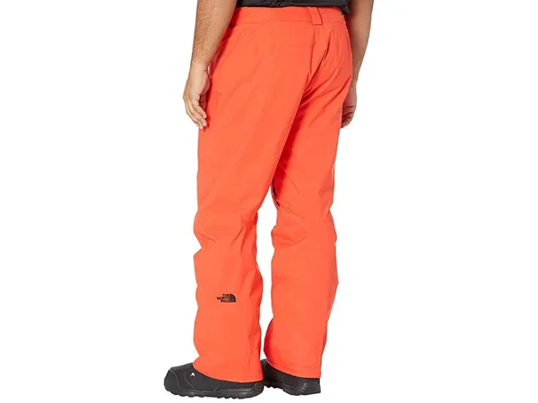 The North Face Men's Freedom Insulated Snow Pants
