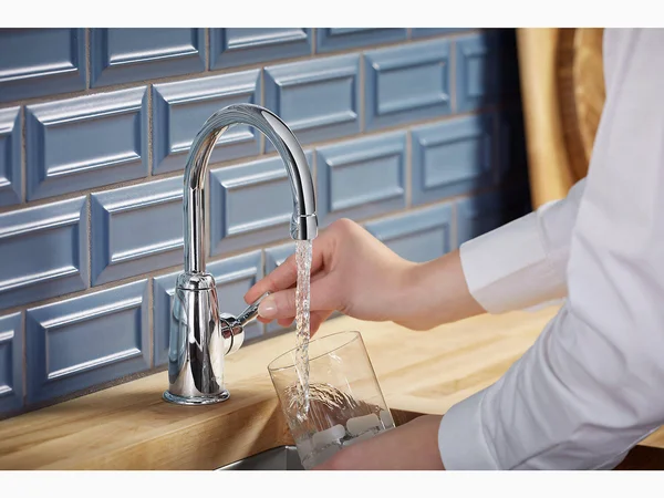 Kohler 6665-AG-BL Wellspring Beverage Faucet - Matte Black
