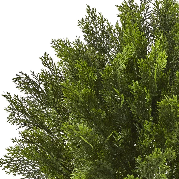 Nearly Natural 3& Cedar Indoor/Outdoor Artificial Bush - Green