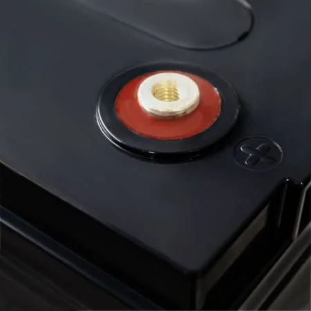 Mighty Max Battery Ml200-6 6-Volt 200 Ah Rechargeable Sealed Lead Acid