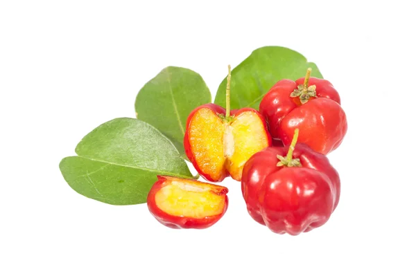 Acerola Cherry Powder - Organic Freeze Dried 22 lbs by Z Natural Foods