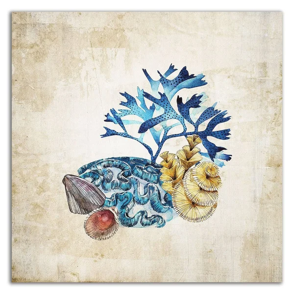 Tangletown Fine Art 14x22 x 14x22 Sea Life II by Incado Print on Canvas