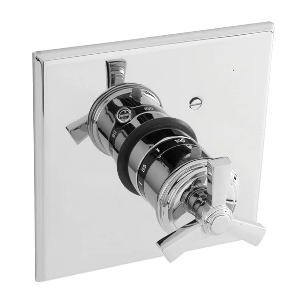 Newport Brass 3-1604TS/20 Miro Square Thermostatic Trim Plate with Handle Stainless Steel