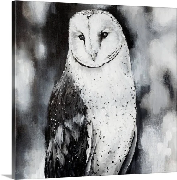 White Owl, Canvas Wall Art, 20x20, Great Big Canvas