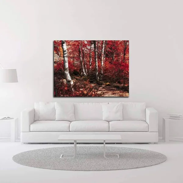 14x22 x 18x22 Red Trees Path by Vladimir Kostka Print on Canvas