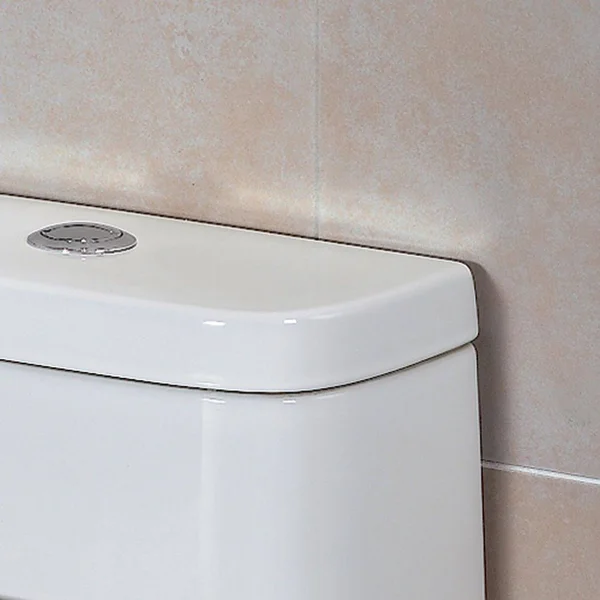 Ariel Platinum Tb346m &Adriana& Toilet with Dual Flush