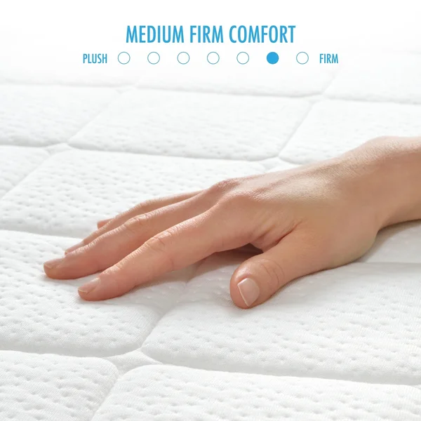 Rio Home Fashions Loftworks Twin Size Plush Top Medium Firm 10 inch Gel Memory Foam Mattress, Quilted Top Twin