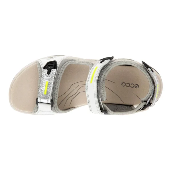 Ecco Offroad Women's Flat Sandal Multicolor, Silver Metallic, 35, M