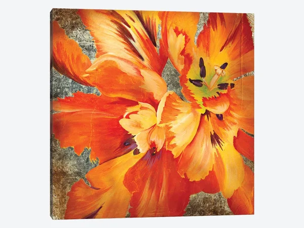 Liz Jardine Paintings Canvas Art Prints - Antique Botanicals II ( Floral & Botanical > Flowers art)