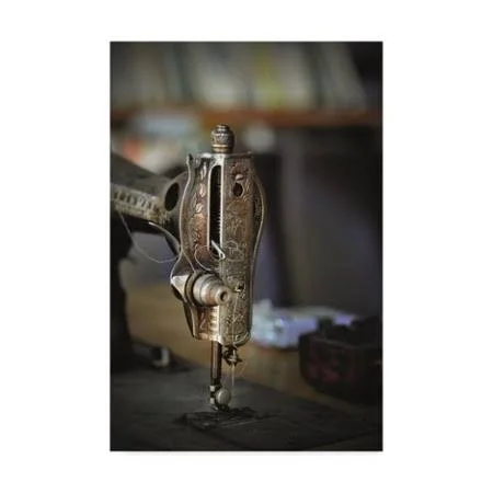 Trademark Fine Art 'Old Machine' Canvas Art by Christine Sainte-Laudy - Size: 22 x 32