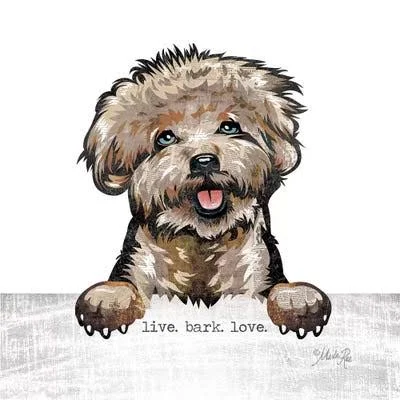 Framed Canvas Art - Live. Bark. Love. by Marla Rae ( Inspirational & Motivational Wall Art > Home art)