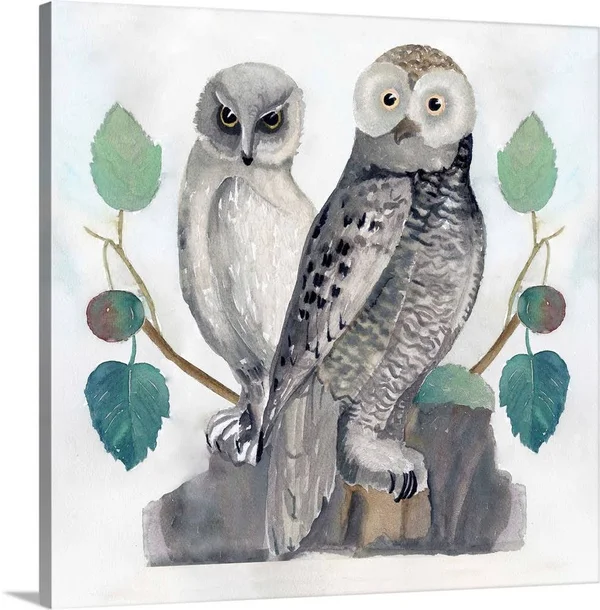 Traditional Owls I, Canvas Wall Art, 20x20, Great Big Canvas