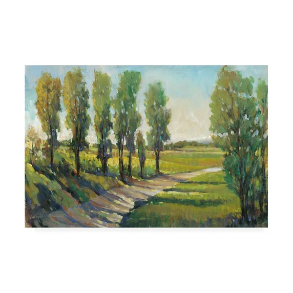 Trademark Fine Art 'Lush Landscape I' Canvas Art by Tim OToole - Size: 30 x 47