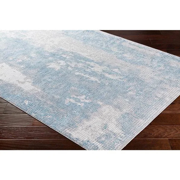 Surya Aisha AIS-2301 Sky Blue Area Rug 2& x 3&