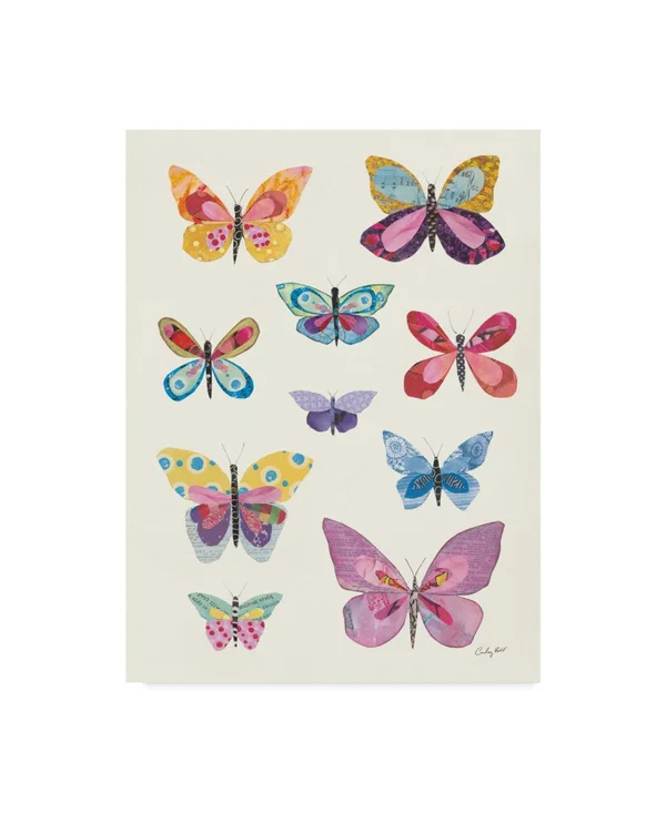 Trademark Fine Art Courtney Prahl Butterfly Charts II 35x47 Canvas Art, WAP09860-C3547GG