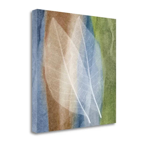 35x22 x 35x22 Leaf Structure I by John Rehner Fine Art Giclee Print