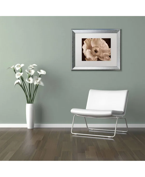 Trademark Art Sepia Poppy I by Cora Niele Framed Photographic Print Size: 16x22 H x 20x22 W x 0.5x22 D - Frame Color: Silver