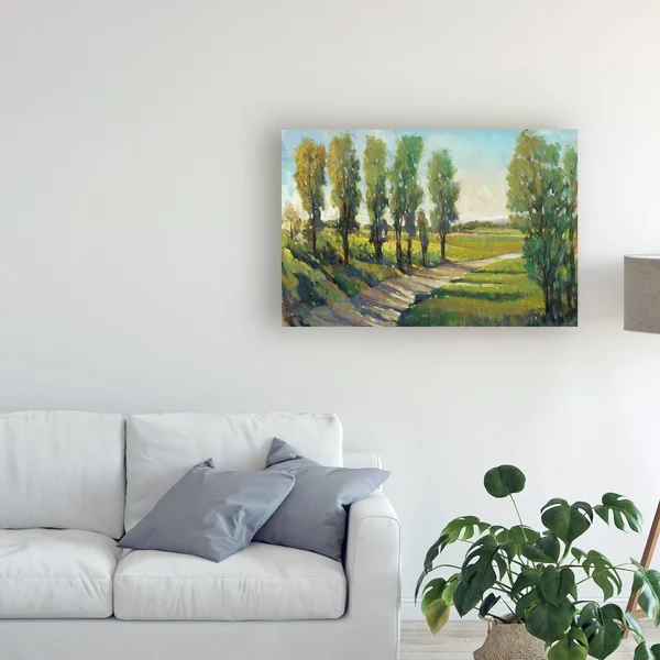 Trademark Fine Art 'Lush Landscape I' Canvas Art by Tim OToole - Size: 30 x 47