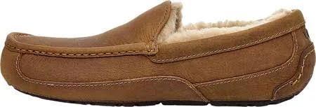 Ugg Ascot Tan, Men's, Size: 17, Brown