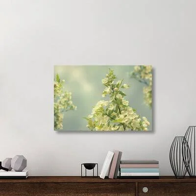 &Spring Beauty II& Photographic Print on Canvas East Urban Home Size: 24x22 H x 36x22 W x 1.5x22 D