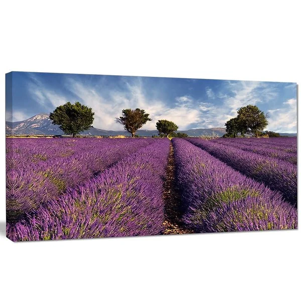 Design Art 'Lavender Field on Windy Afternoon' Photographic Print on Wrapped Canvas - Purple