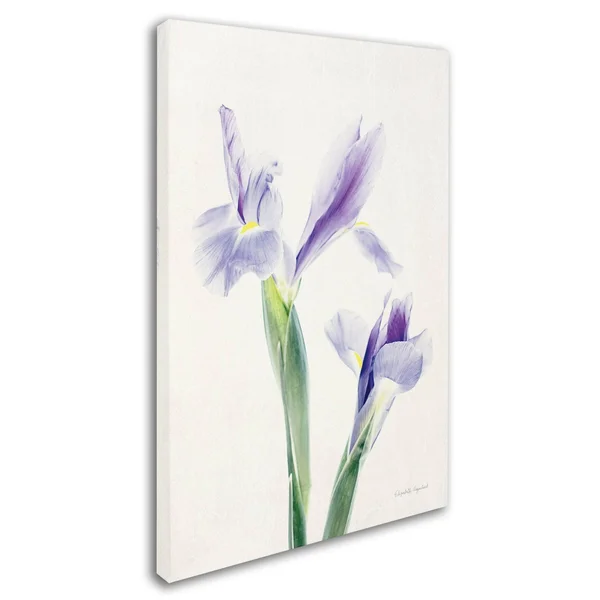 Elizabeth Urquhart 'Light and Bright Floral III' Canvas Art WAP01927-C