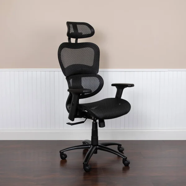 Flash Furniture Ergonomic Mesh Office Desk Chair in Black