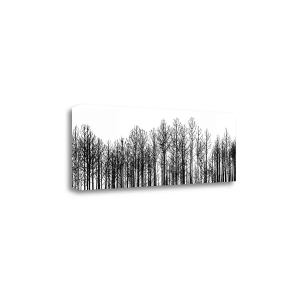Straightforward by Jamie Cook Fine Art Giclee Print on Gallery Wrap
