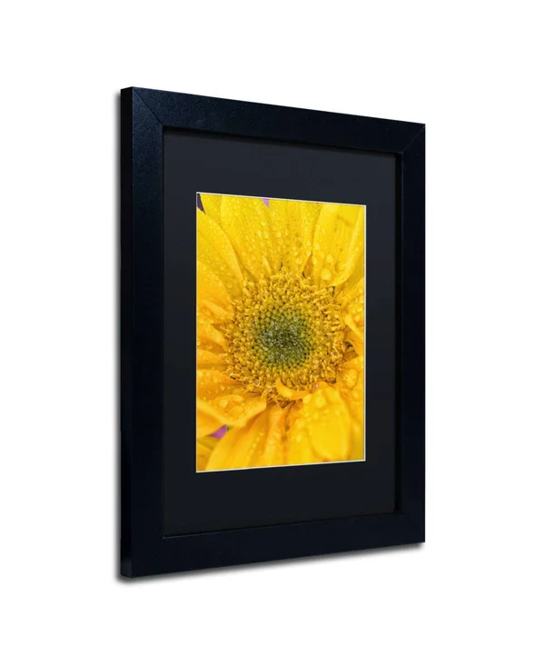 Trademark Fine Art Joyful Color Framed Photographic Print - Size: 14x22 H x 11x22 W x 0.5x22 D - Matte Color: Black
