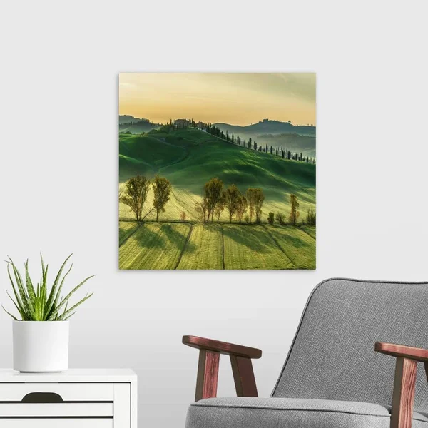 Sunny Tuscany, Canvas Wall Art, 20x20, Great Big Canvas