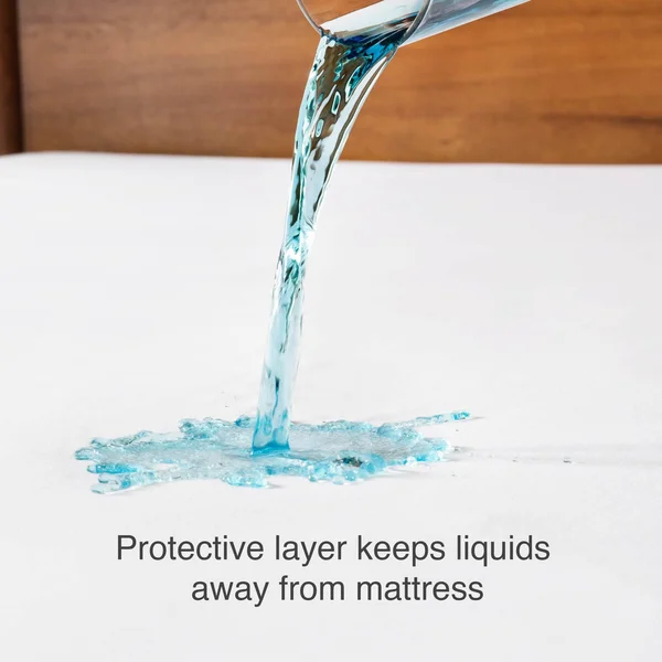 Brookside Tencel Jersey Encasement Mattress Protector - King