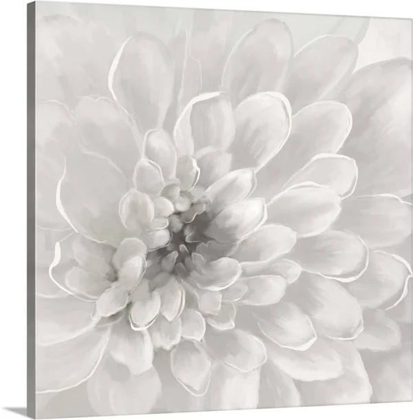 Dahlia, Canvas Wall Art, 16x16, Great Big Canvas