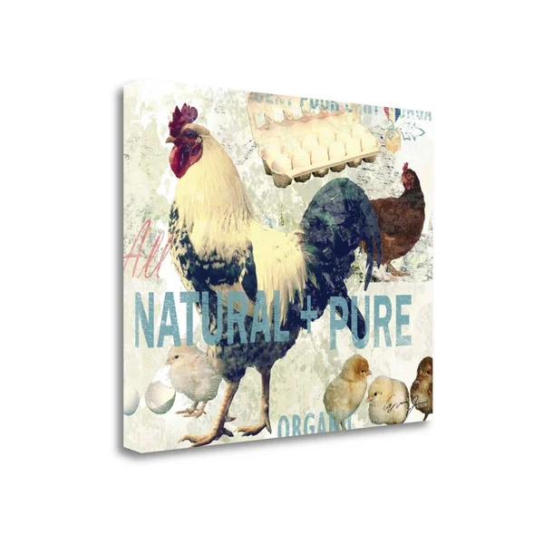 Tangletown Fine Art Natural and Pure by Eric Yang, Giclee Print on Gallery Wrap Canvas, 24x22x20x22