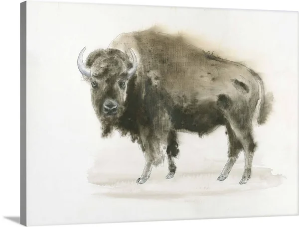 Buffalo Bill, Canvas Wall Art, 40x30, Great Big Canvas