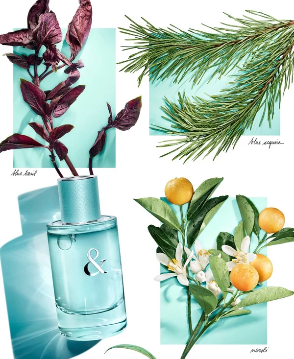 Tiffany & Love by Tiffany 1.6 oz Eau De Parfum Spray for Women.