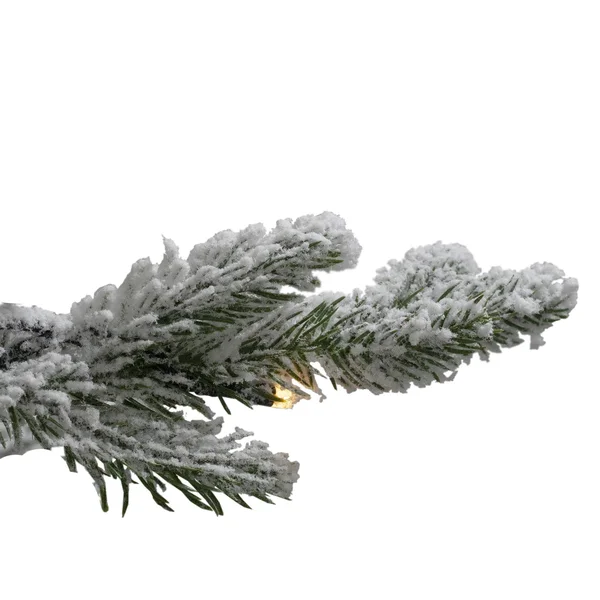 Northlight 7.5' Pre-Lit Medium Flocked Winfield Fir Artificial Christmas Tree - Warm White LED Lights
