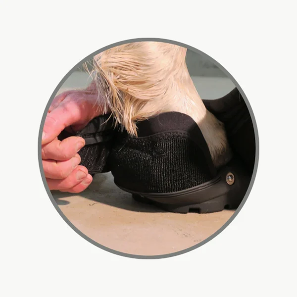 Easyboot Back Country Hoof Boot