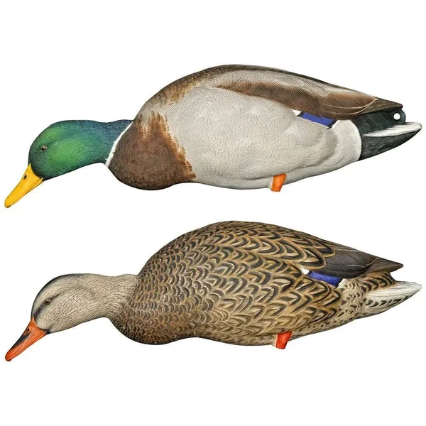 Avian-X Full Body Mallard Decoys 6 Pack