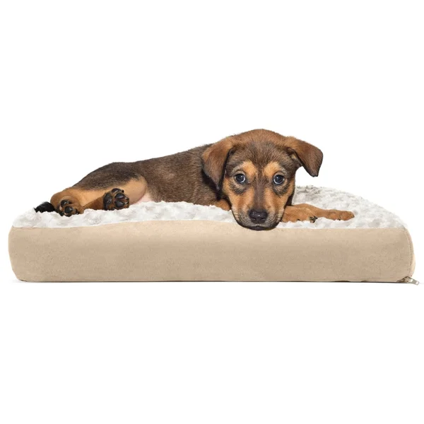 FurHaven Ultra Plush Deluxe Pillow Pet Bed Chocolate