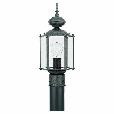 Zechstein 1-Light Lantern Head Charlton Home Finish: Black