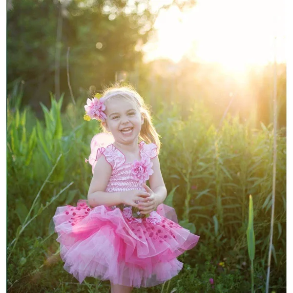 Pink Deluxe Fairy Bloom Dress - Size 3-4