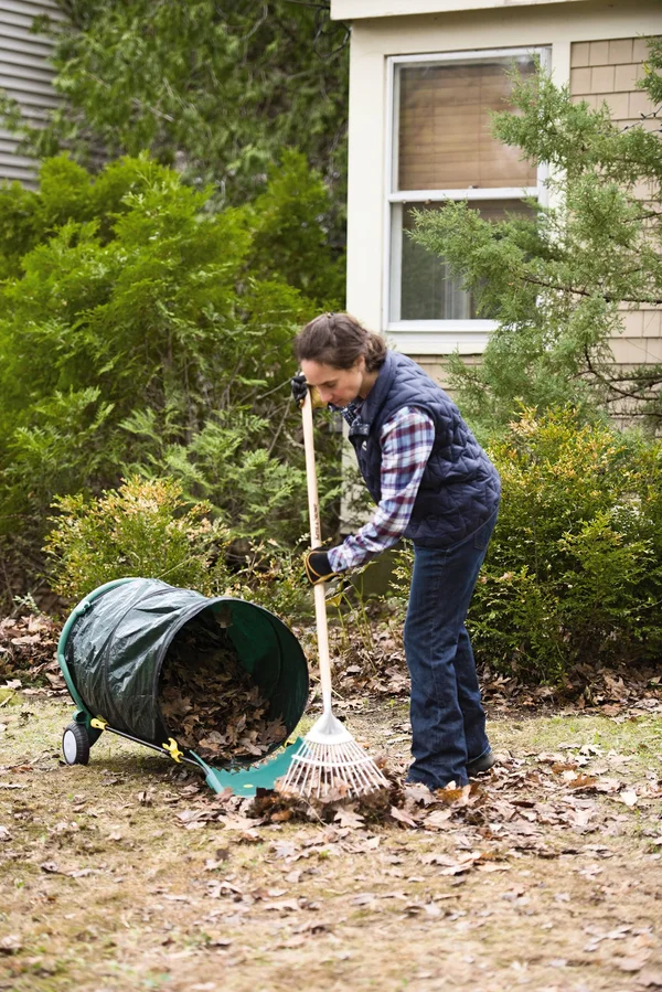 Mobile Leaf Collector Caddy - Gardener&s Supply Company