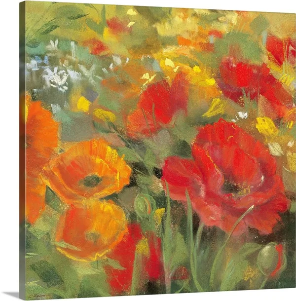 Oriental Poppy Field I - Canvas Wall Art, 20x20, Great Big Canvas