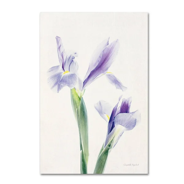Elizabeth Urquhart 'Light and Bright Floral III' Canvas Art WAP01927-C