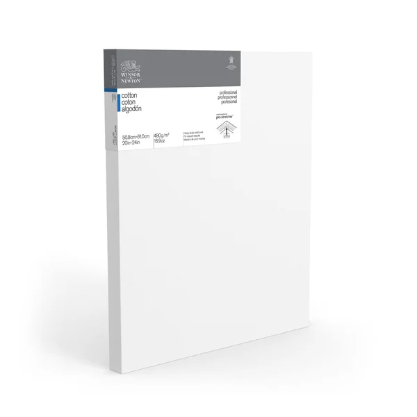 Winsor & Newton Professional Cotton Canvas, 20x22 x 24x22 Deep Edge